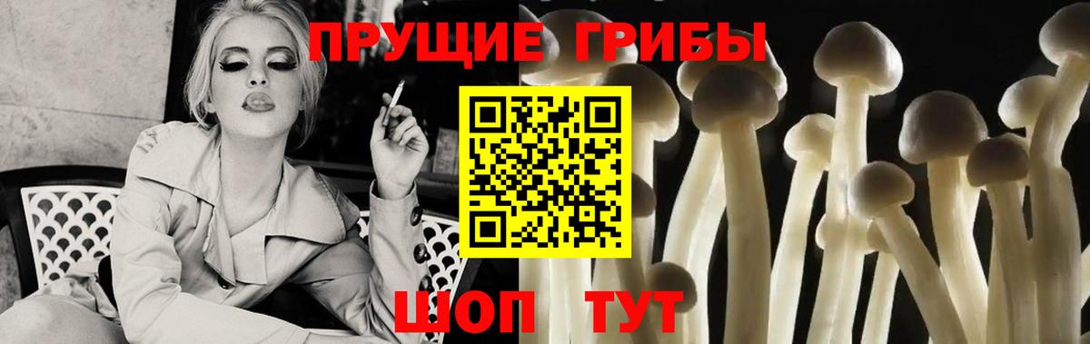 Галлюциногенные грибы прущие грибы  Галлюциногенные грибы мухоморы  Красноярск  Вход с VPN 